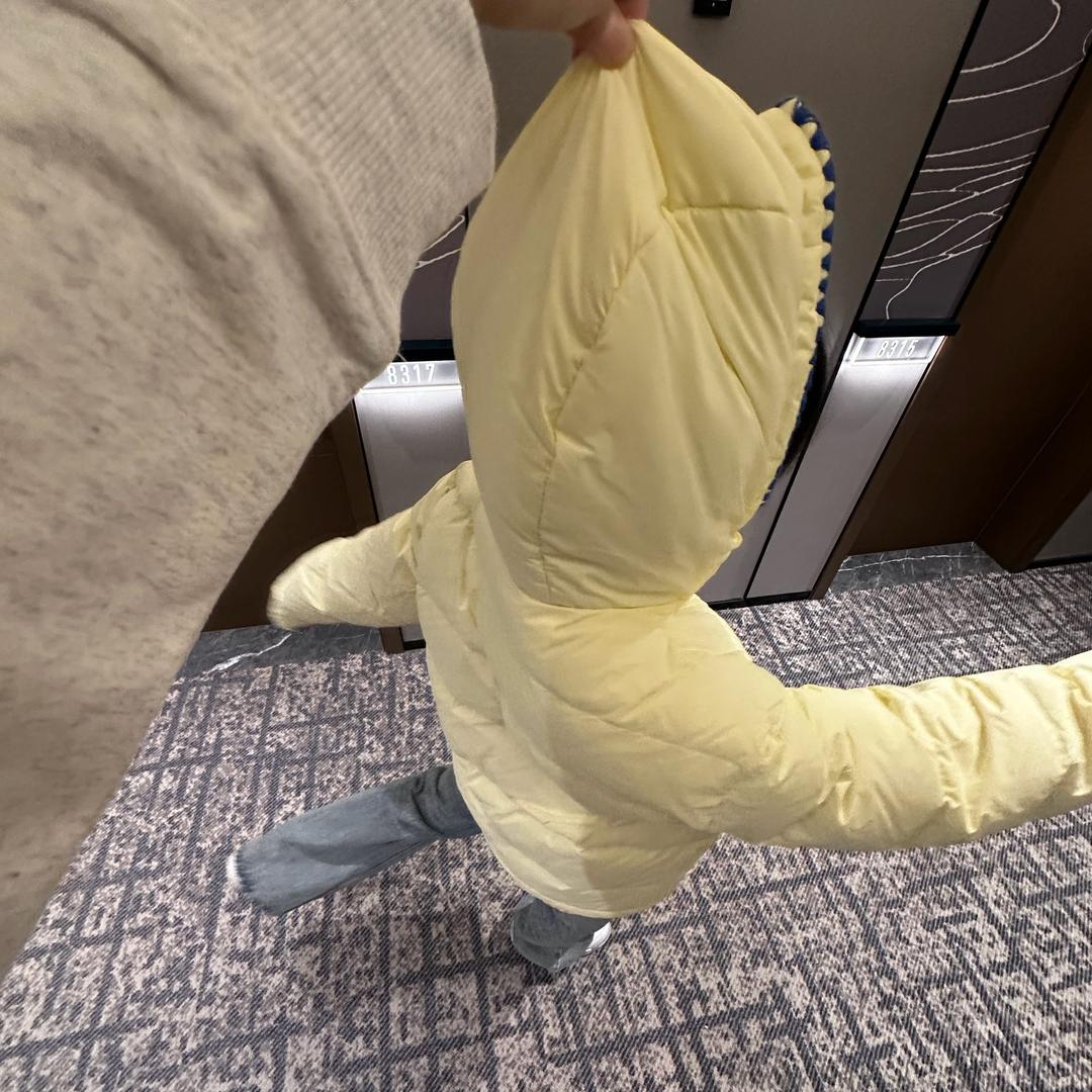 爱吃月亮的小熊