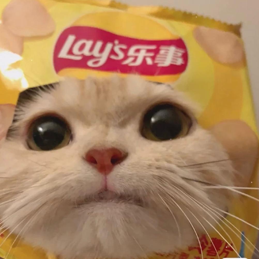脆皮洛杉喵