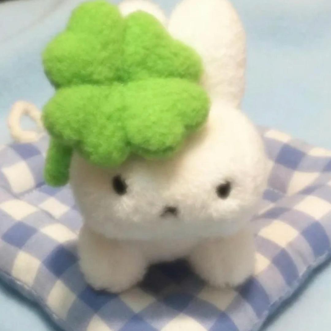 兴奋的小裤头537