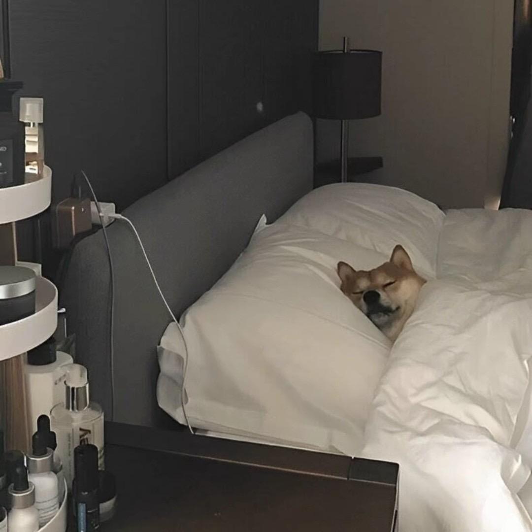 l董事长