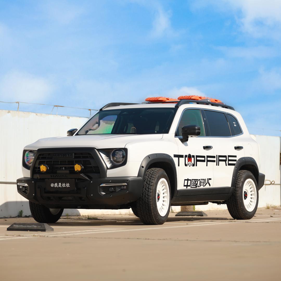 我是杜杜_（拍车版）