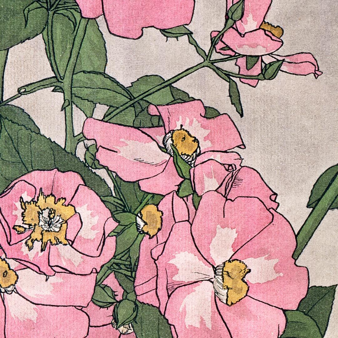 小月yan
