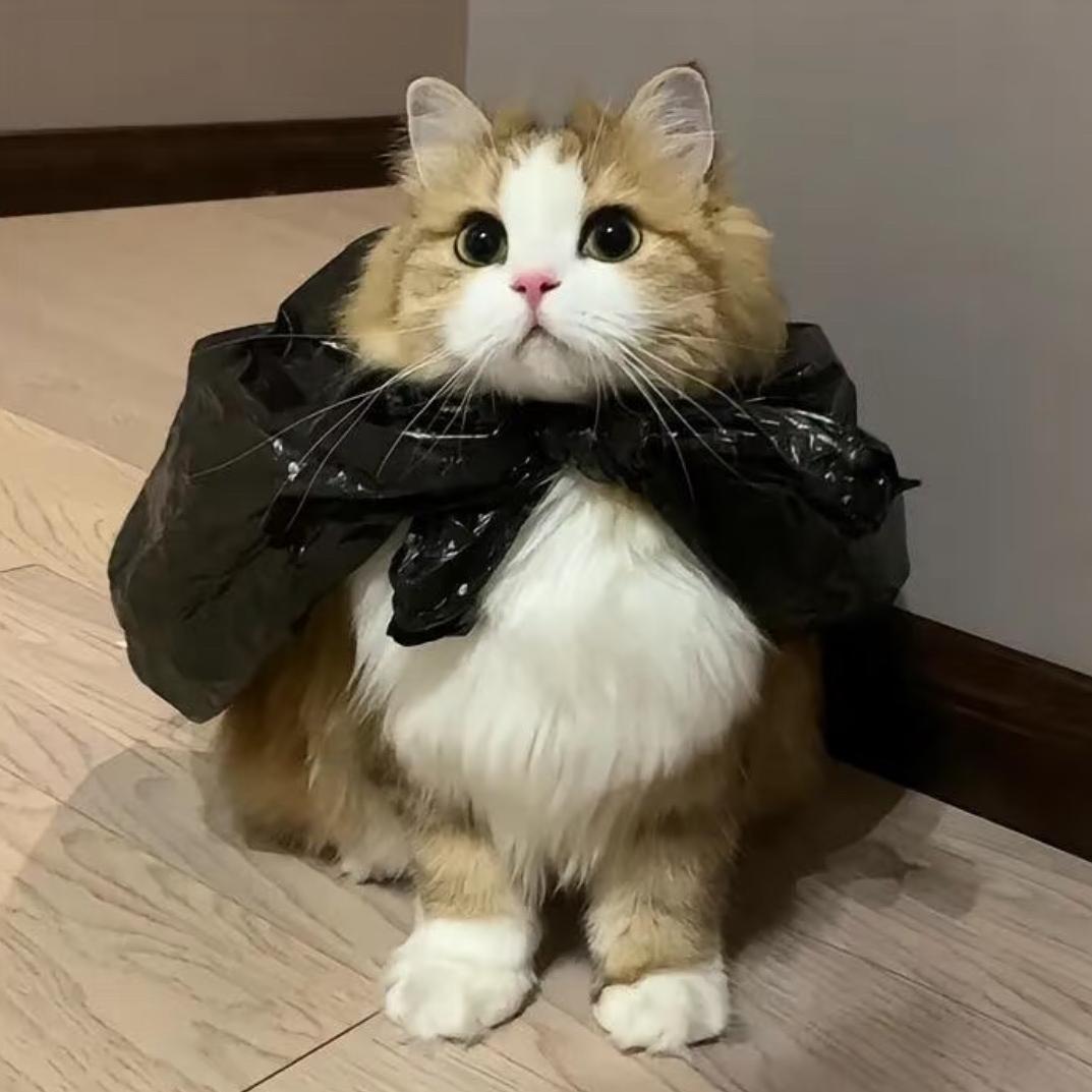 诺总