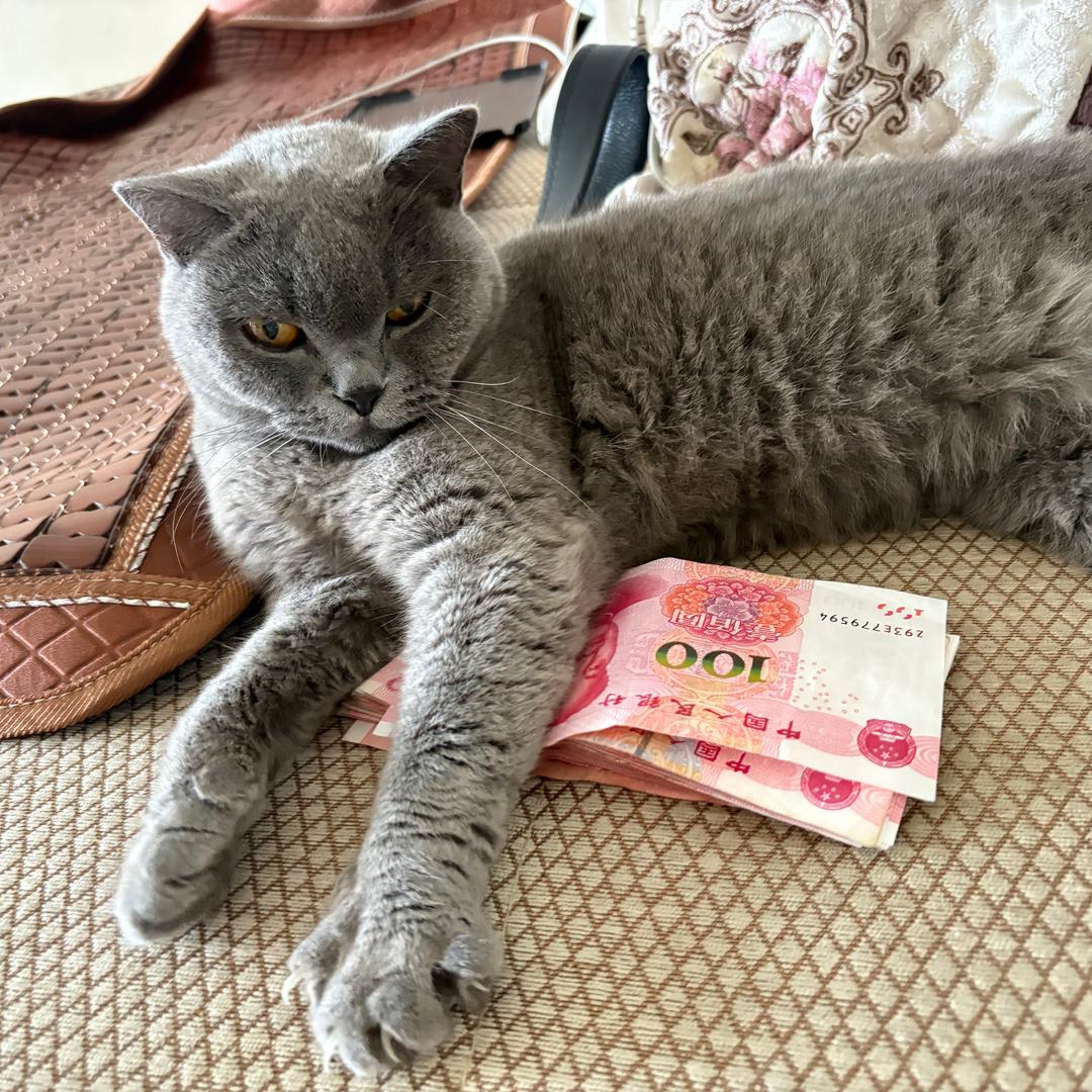 朵朵哆哆