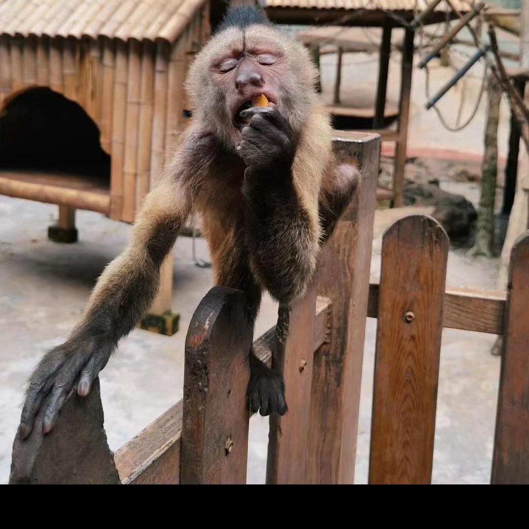 杨老师的银库。