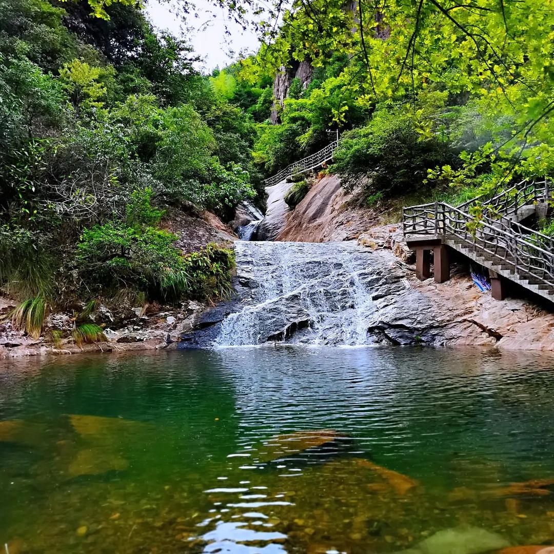 精选好物（橱窗）