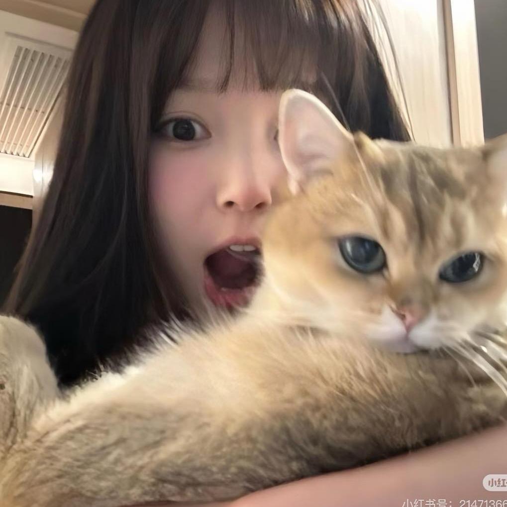 芽菜