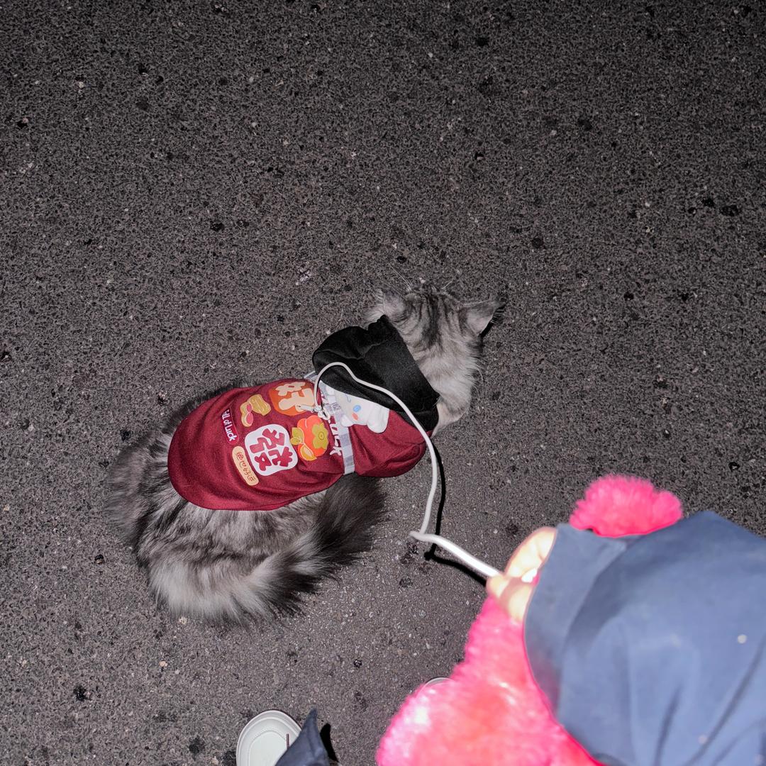 不会做饭