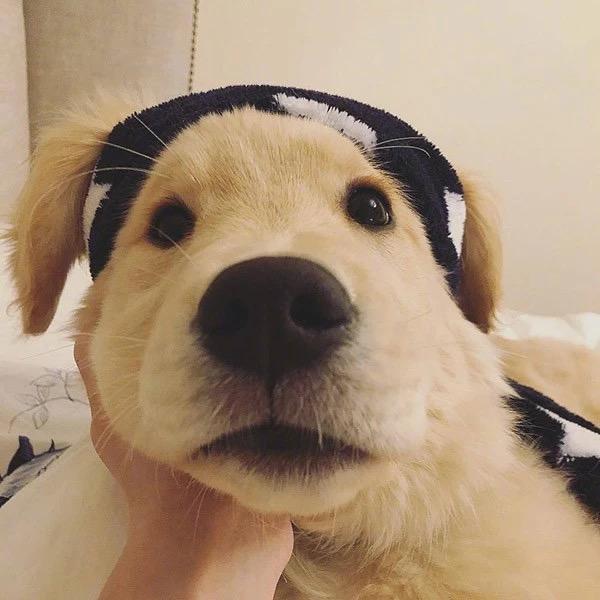寂头像