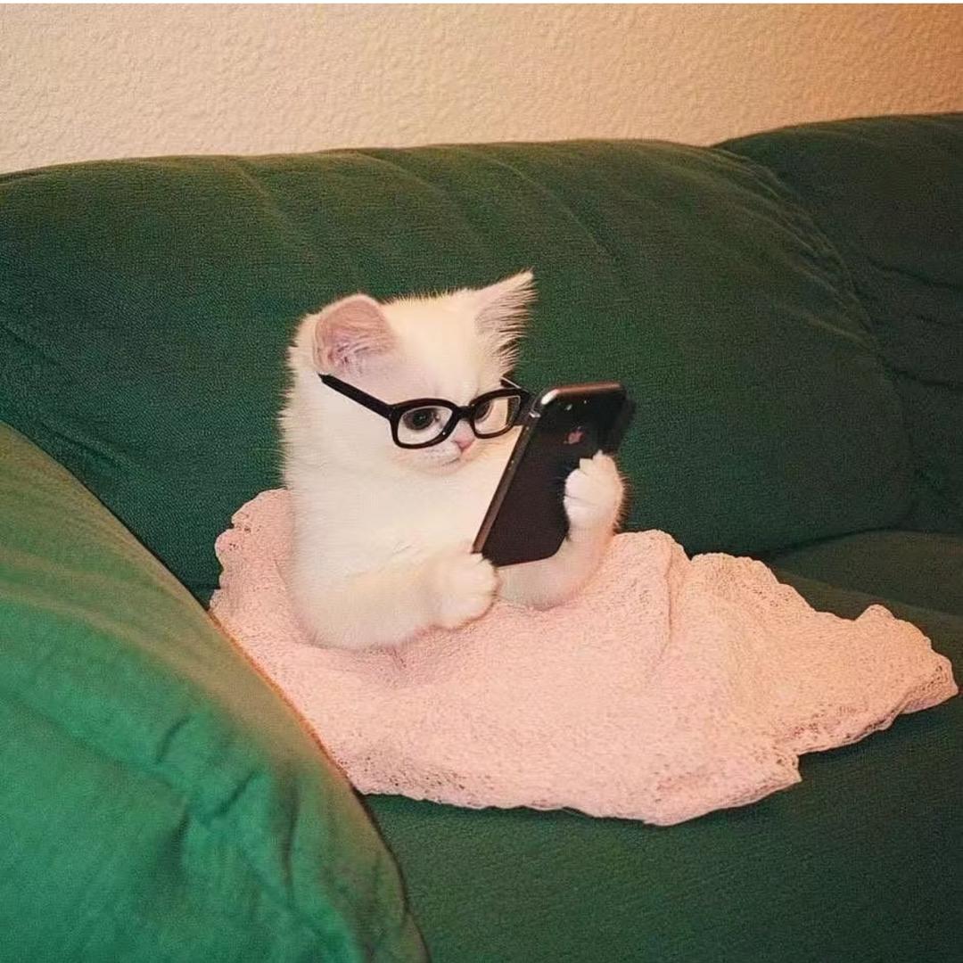 P_A