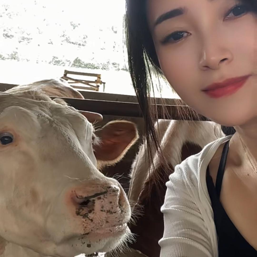 养牛的允儿（招徒）