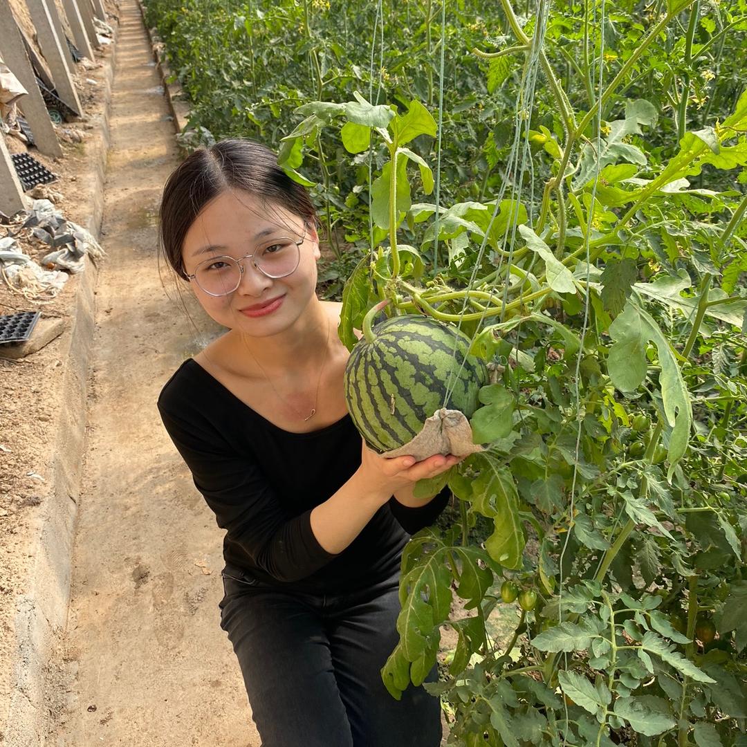 轲轲🌸菜园