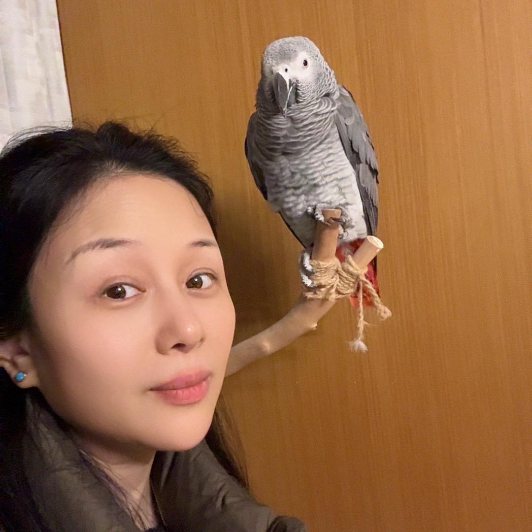 楠楠
