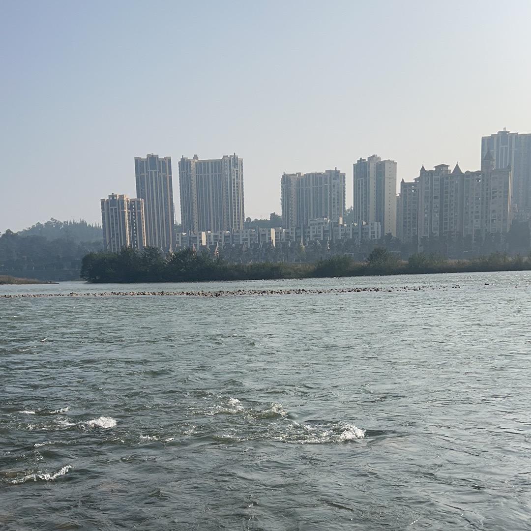 奋斗的小甜心