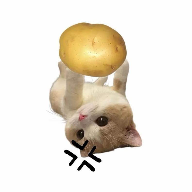 萧意