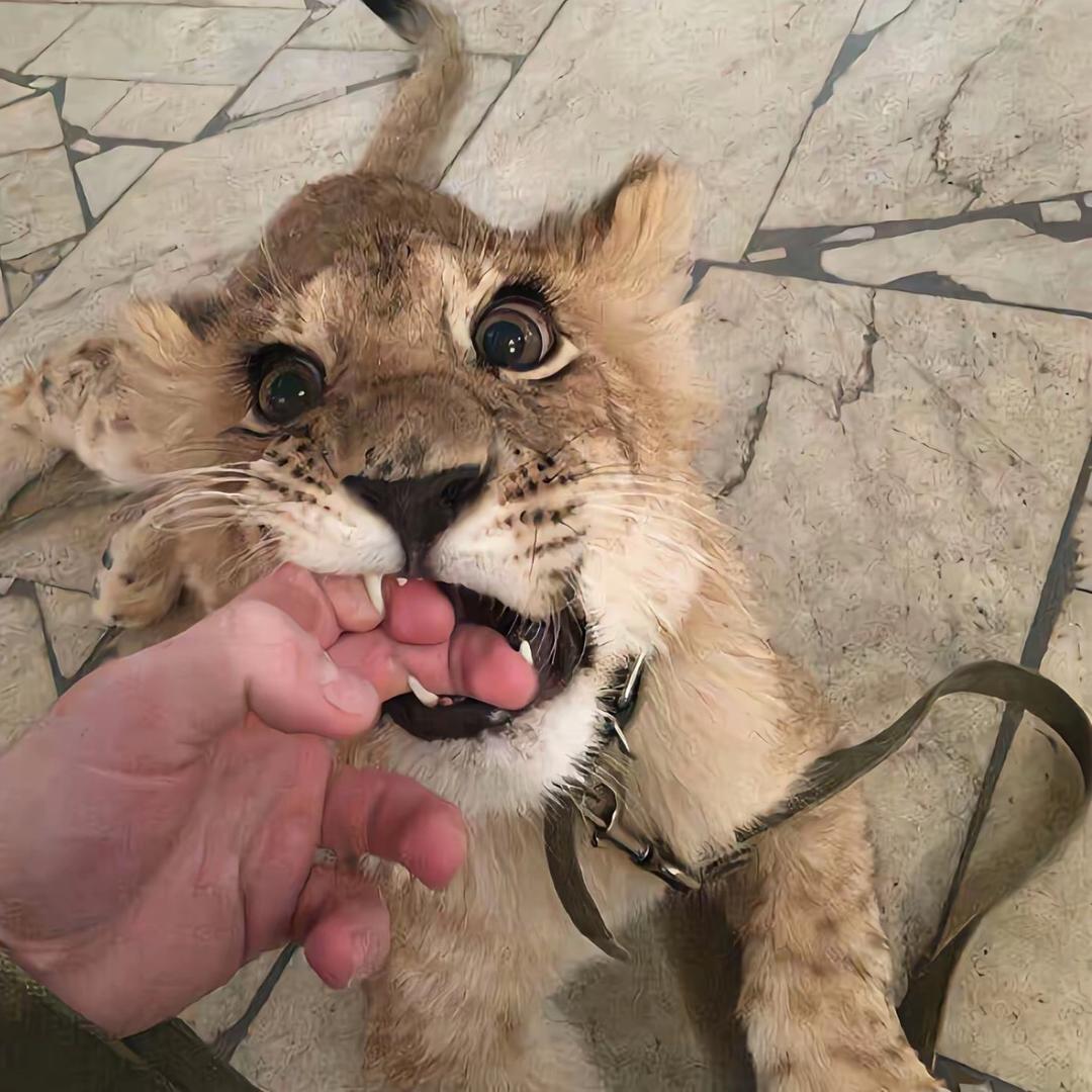 mine.