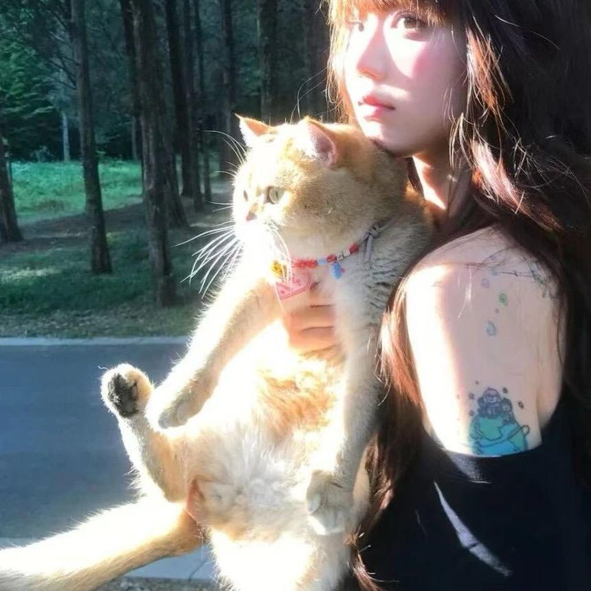 花落