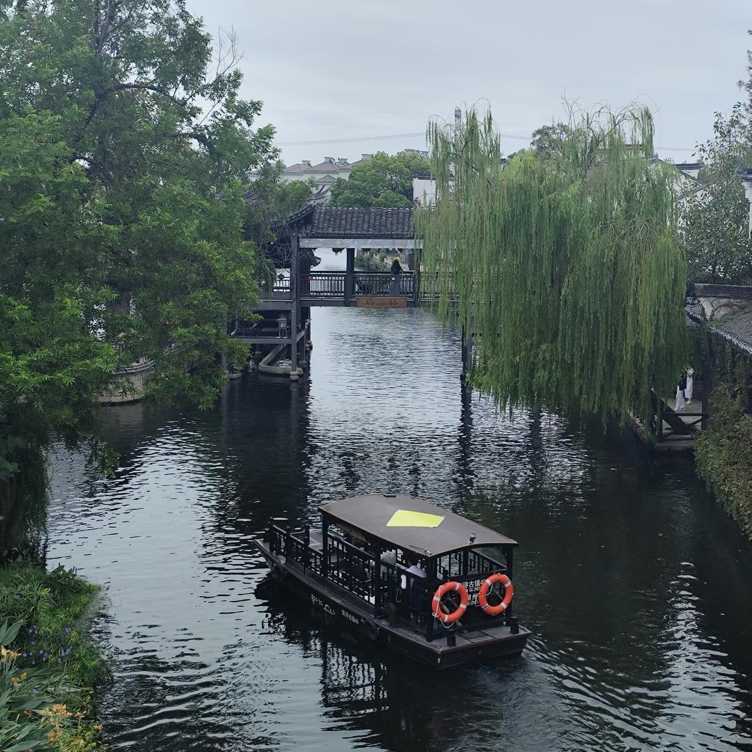 爱喝茶的王同学