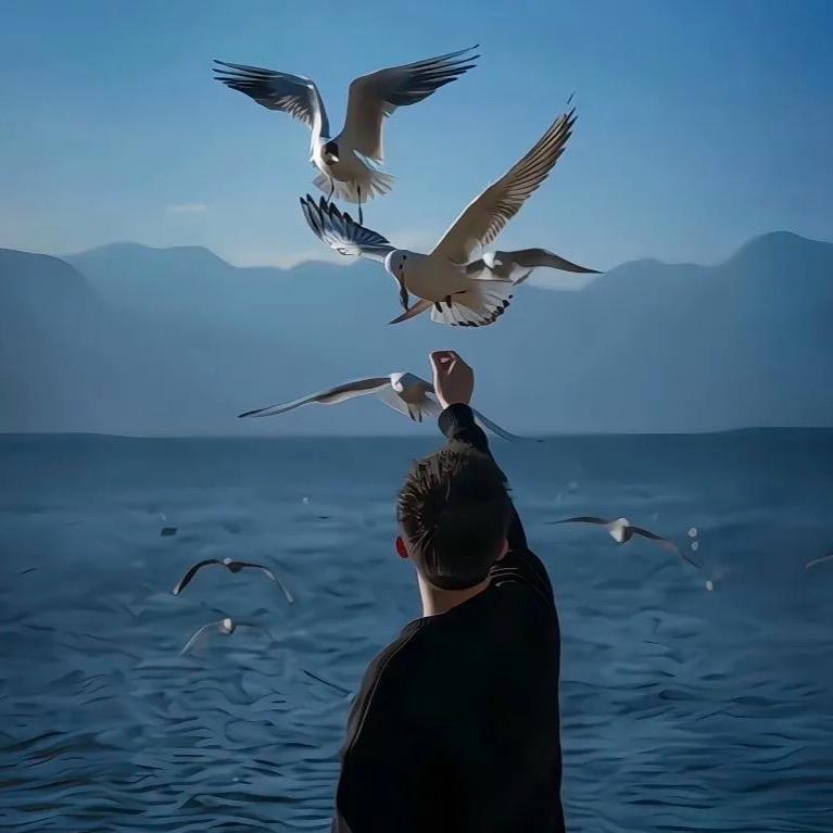 长的帅就要吃藤藤菜