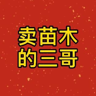 卖苗木的三哥，专业地被