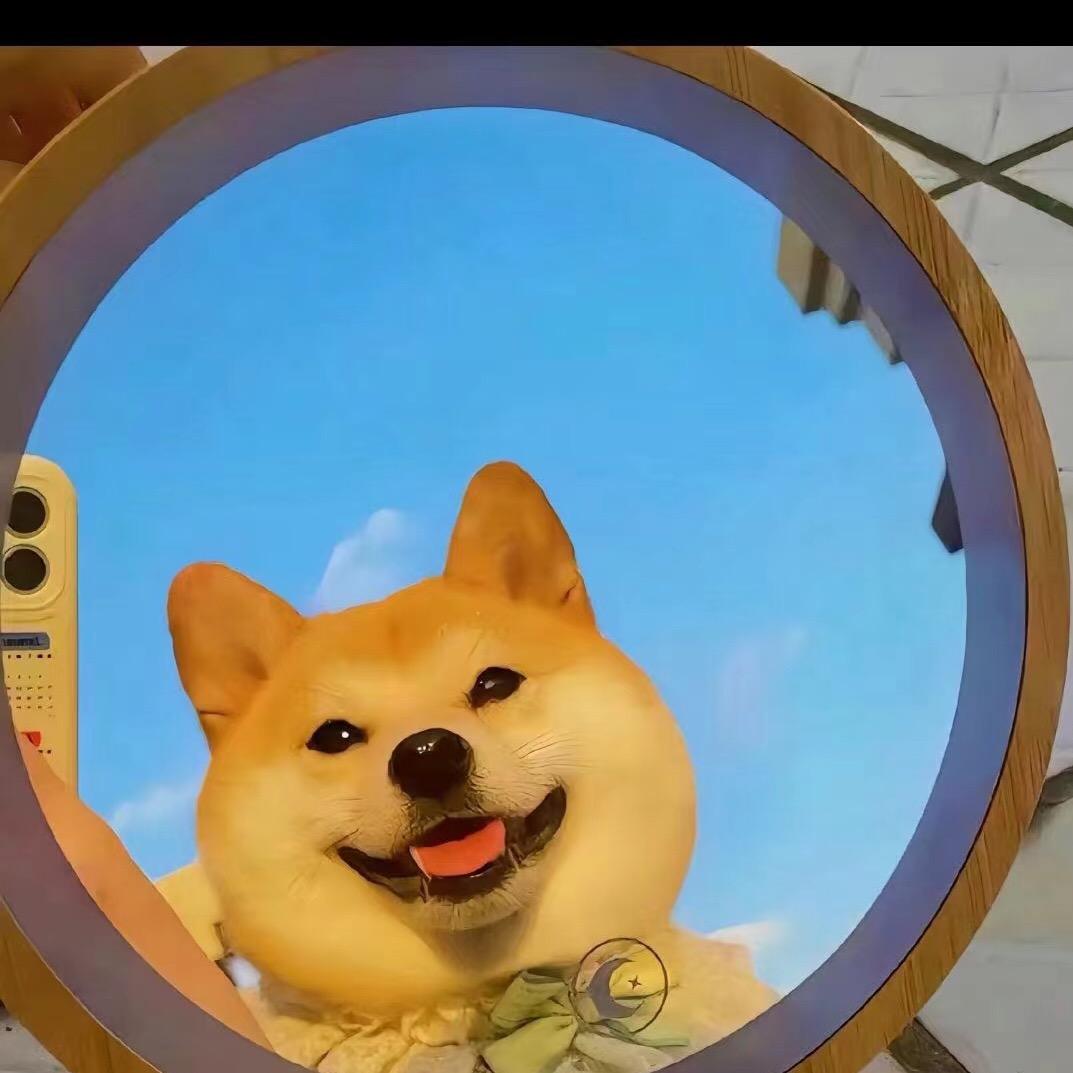 芒果宠物🐱🐶