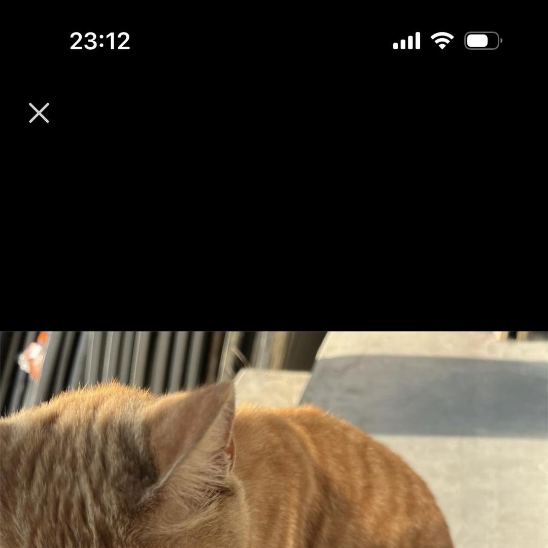 栅栅鲜果（果园直发）