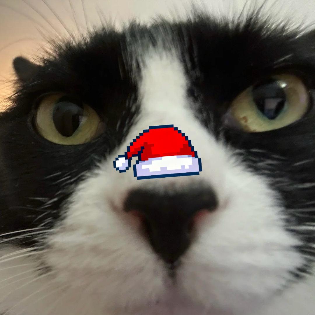 阳光宅男😺