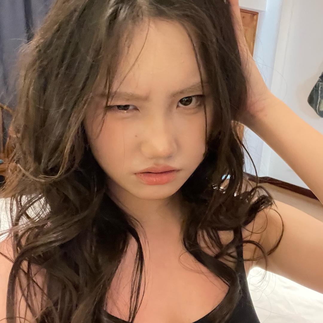 权威的主包