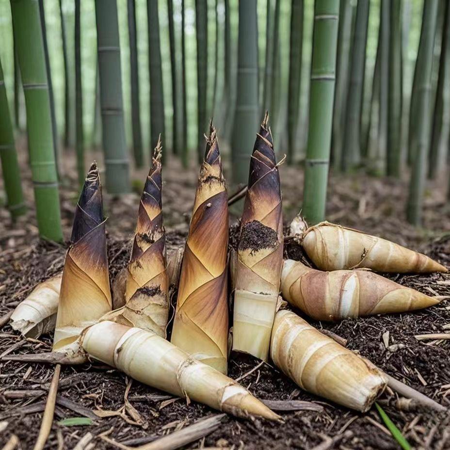 通济山品集零售店