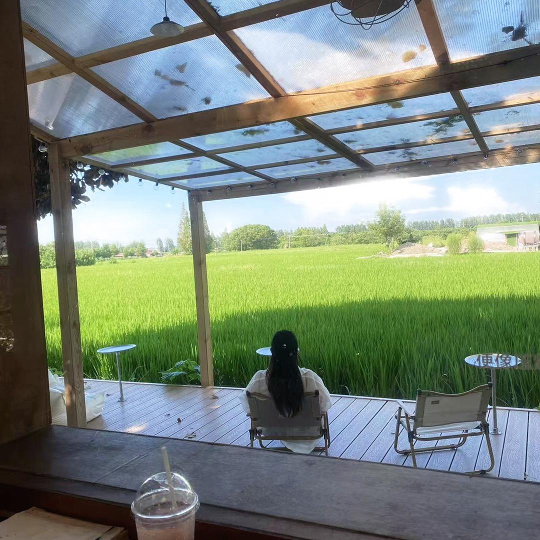 章鱼丸子@