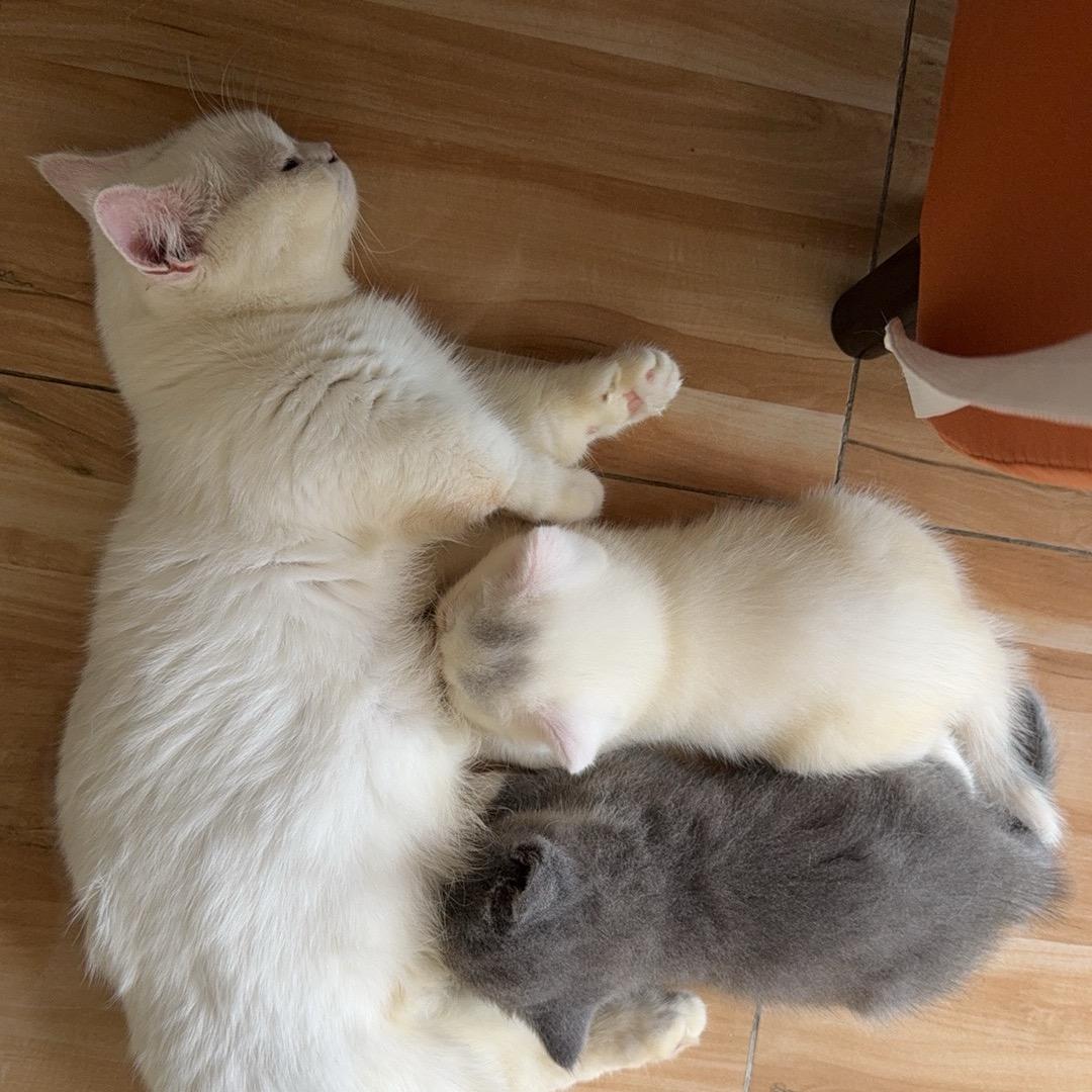 小容
