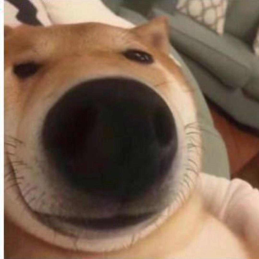 OOO