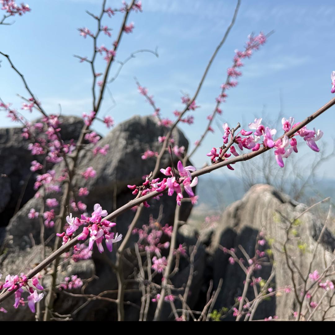 Love 燕麦片520💋