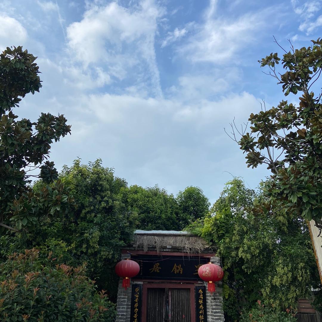 天伦华叔