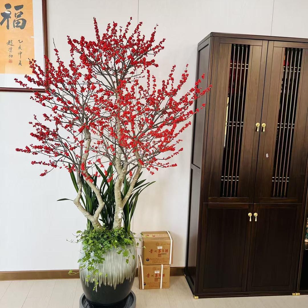 致盛绿植造型店