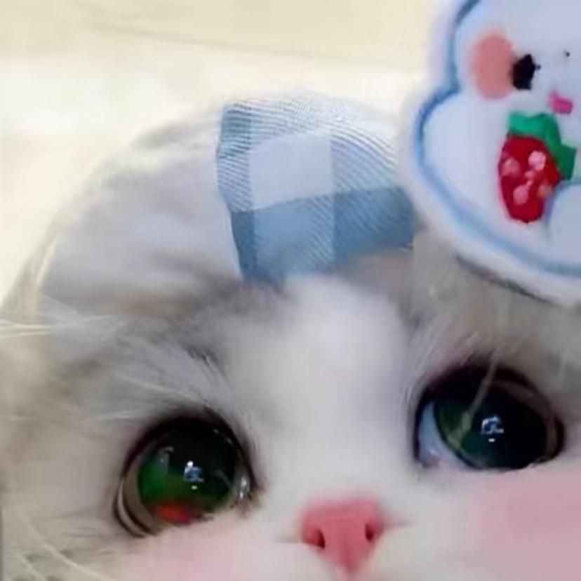 小喽🧊