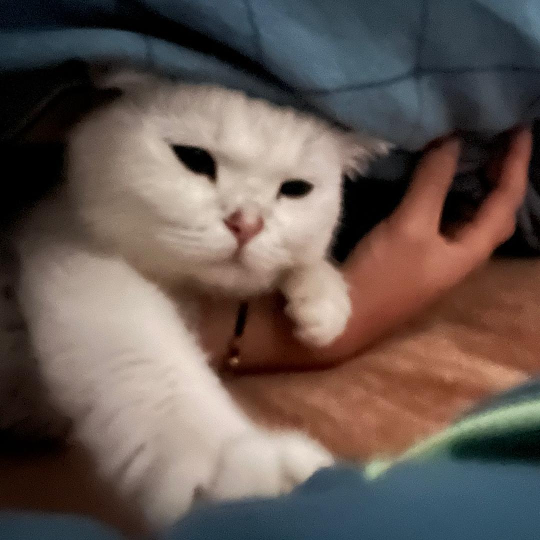 熂