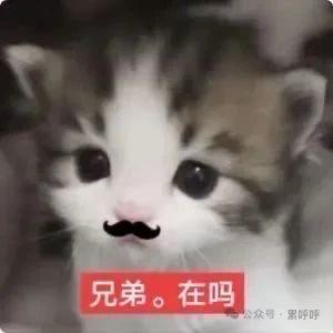 黑眼圈好重🏸