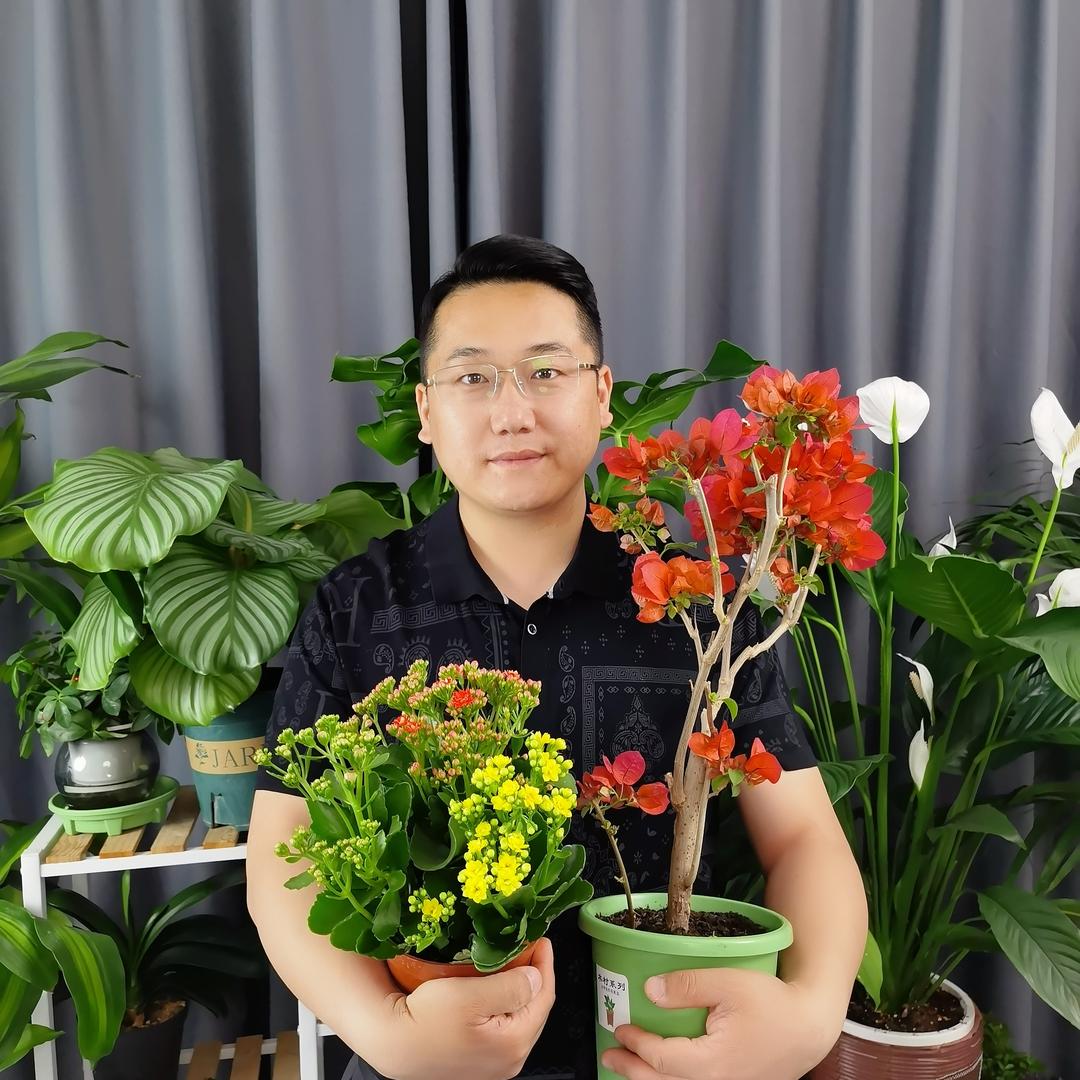 爆花补给站
