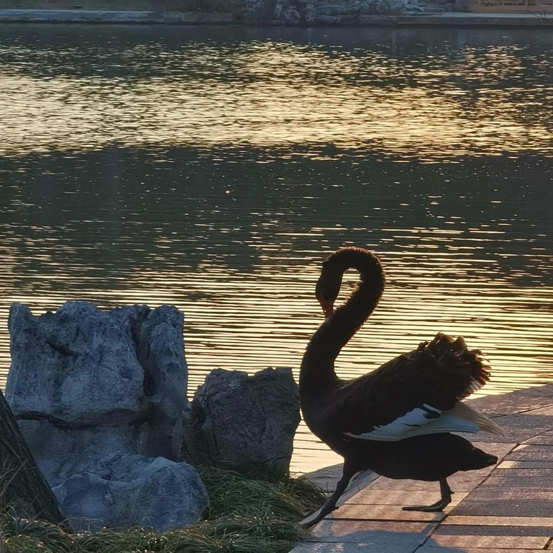 小曹