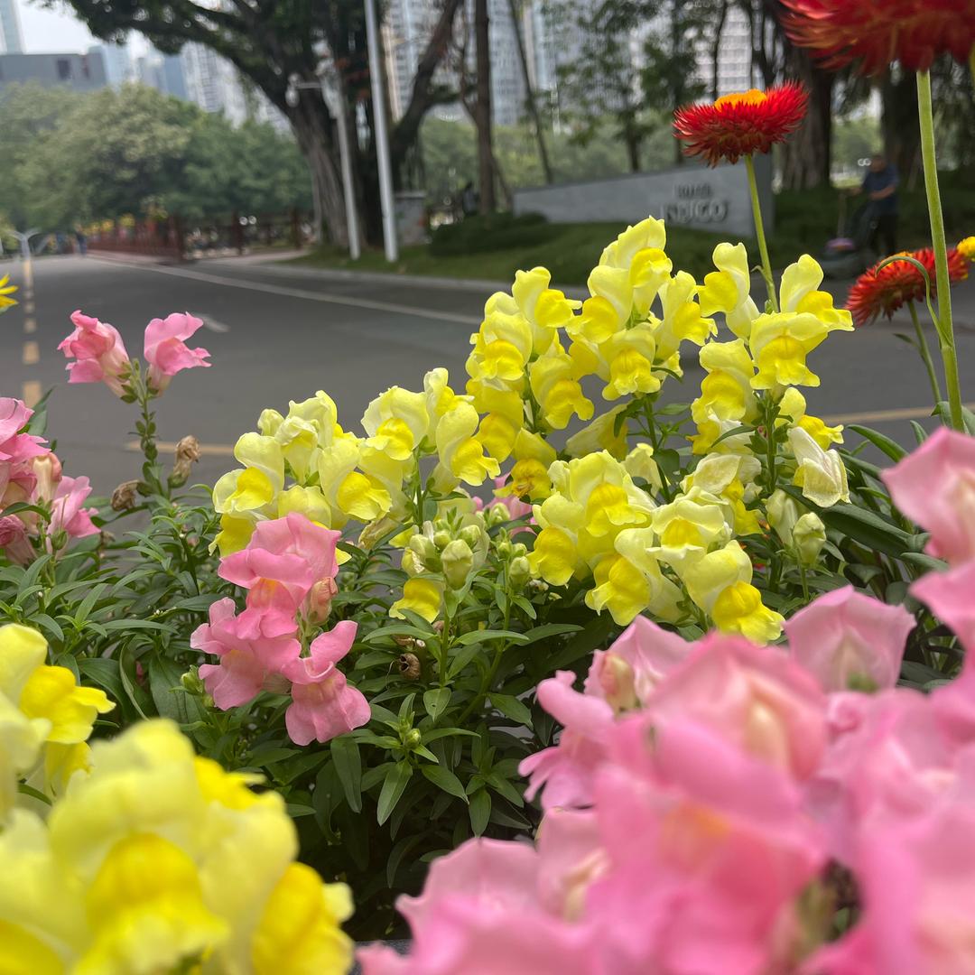 春暖他来
