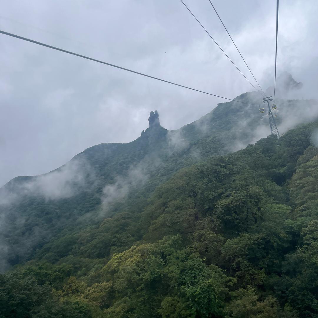 开心快乐每一天