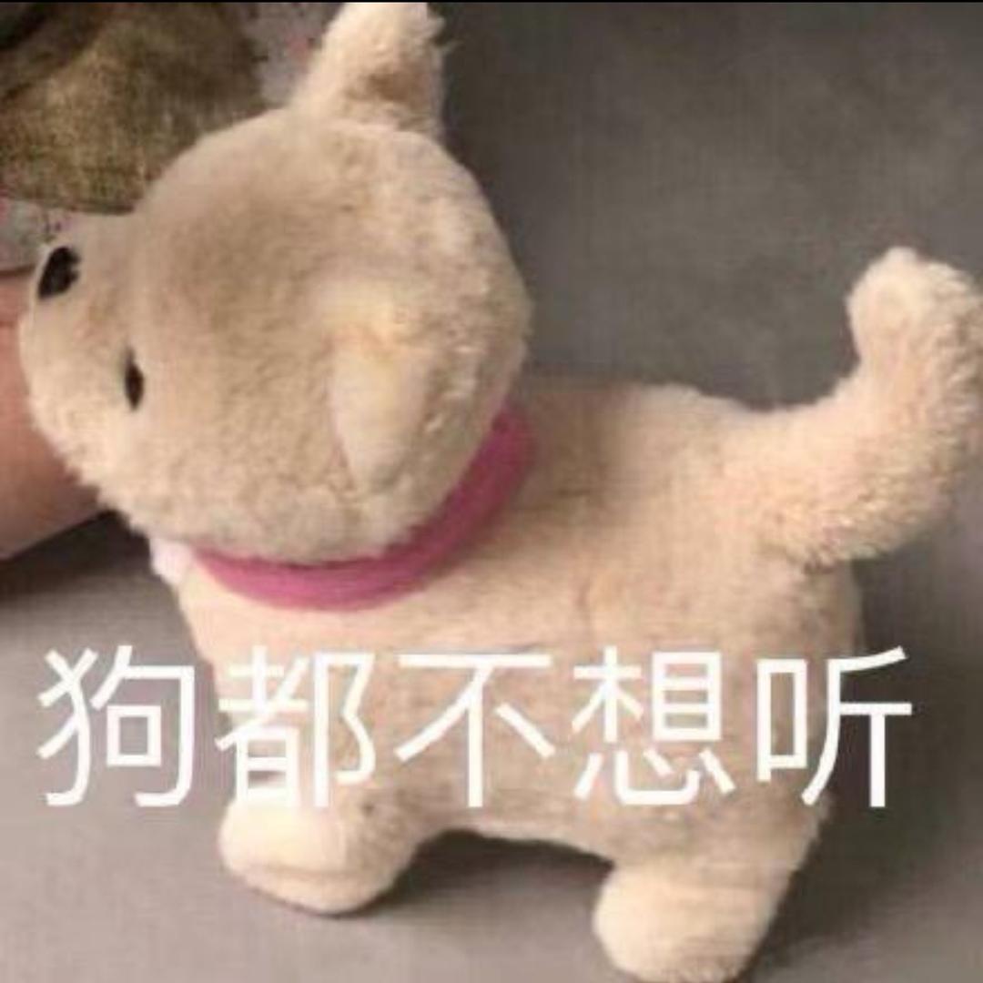 无畏小花海🥱