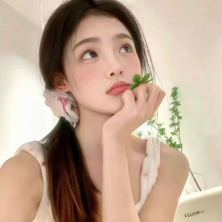 呆