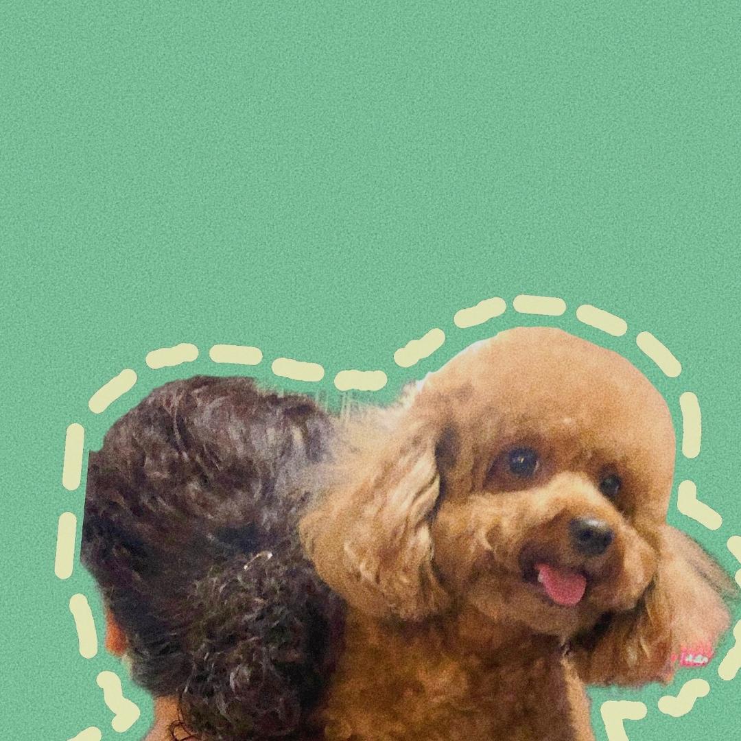 家有毛孩lucky413