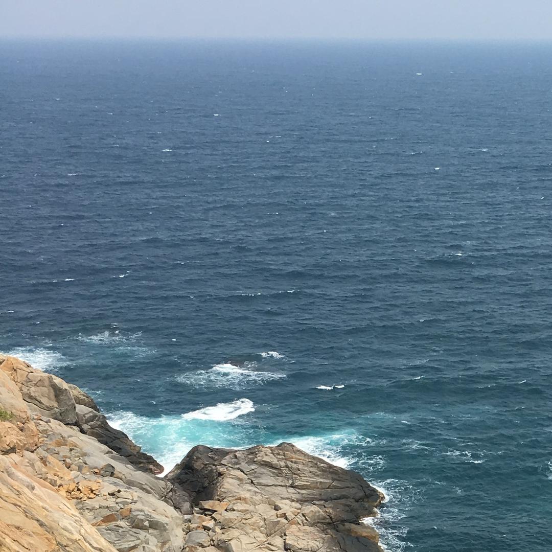 关山难越，谁悲失路之人