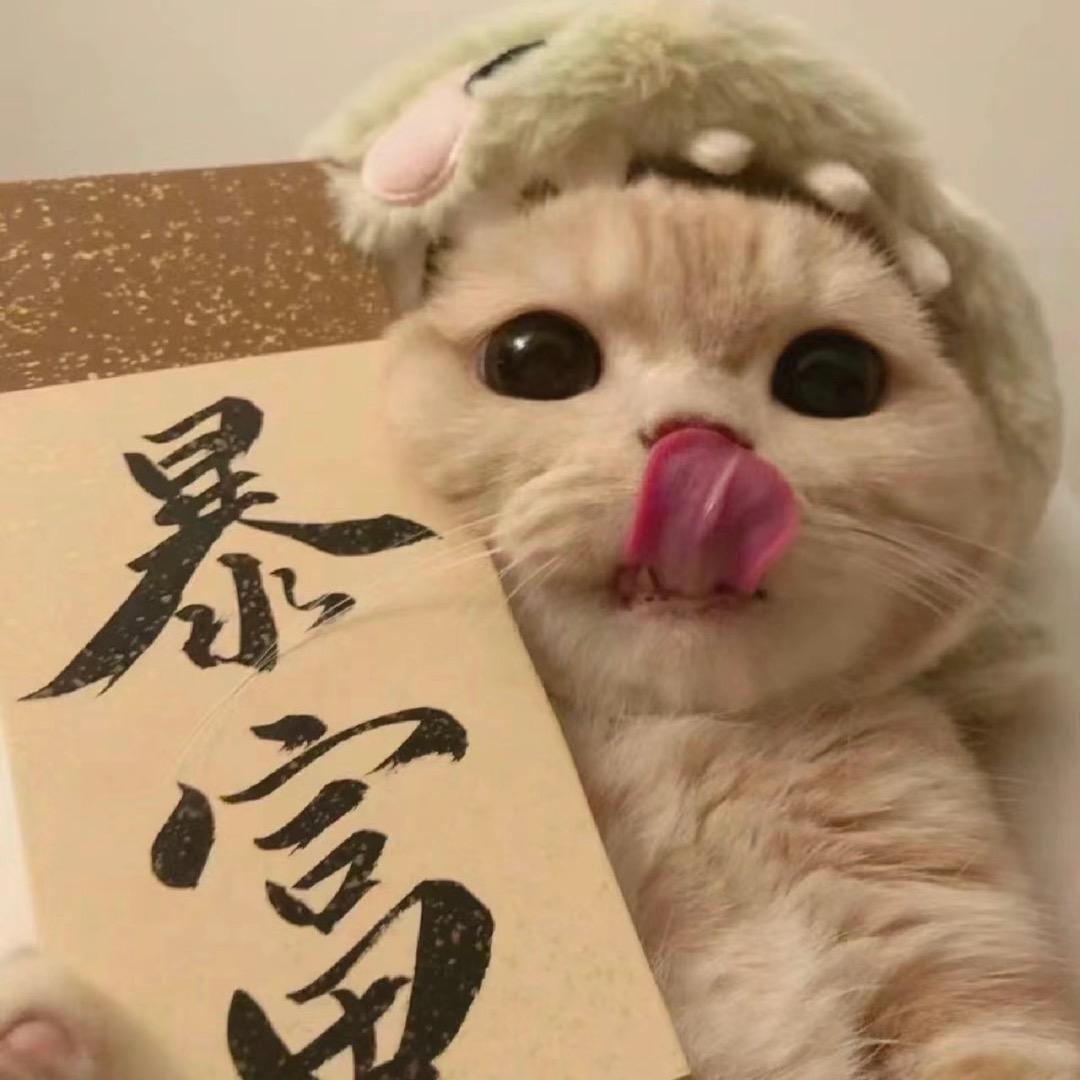 张九思