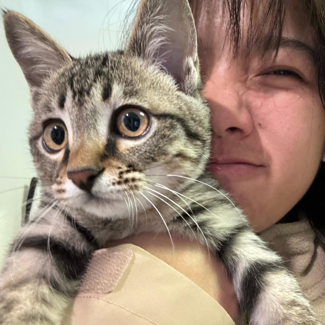 壳壳的猫叫芙蓉王