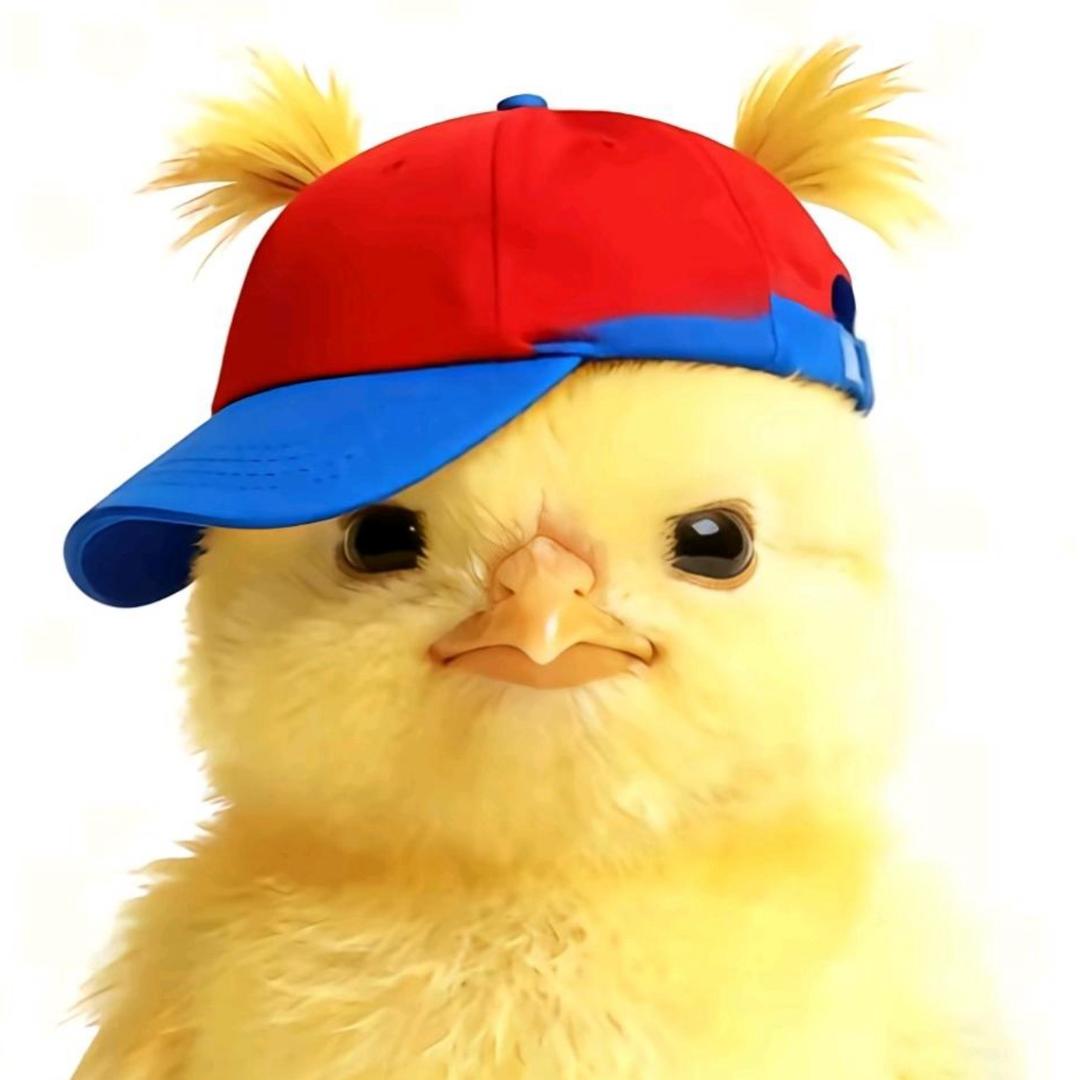 孙氏大摆拳唯一继承人