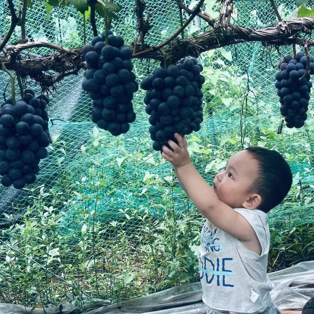 富川悦丰农产优品